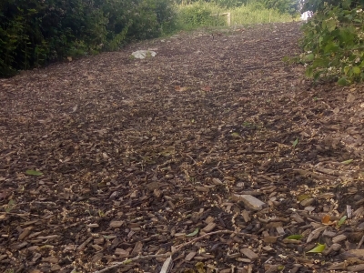 Chemin Vaches Garnier